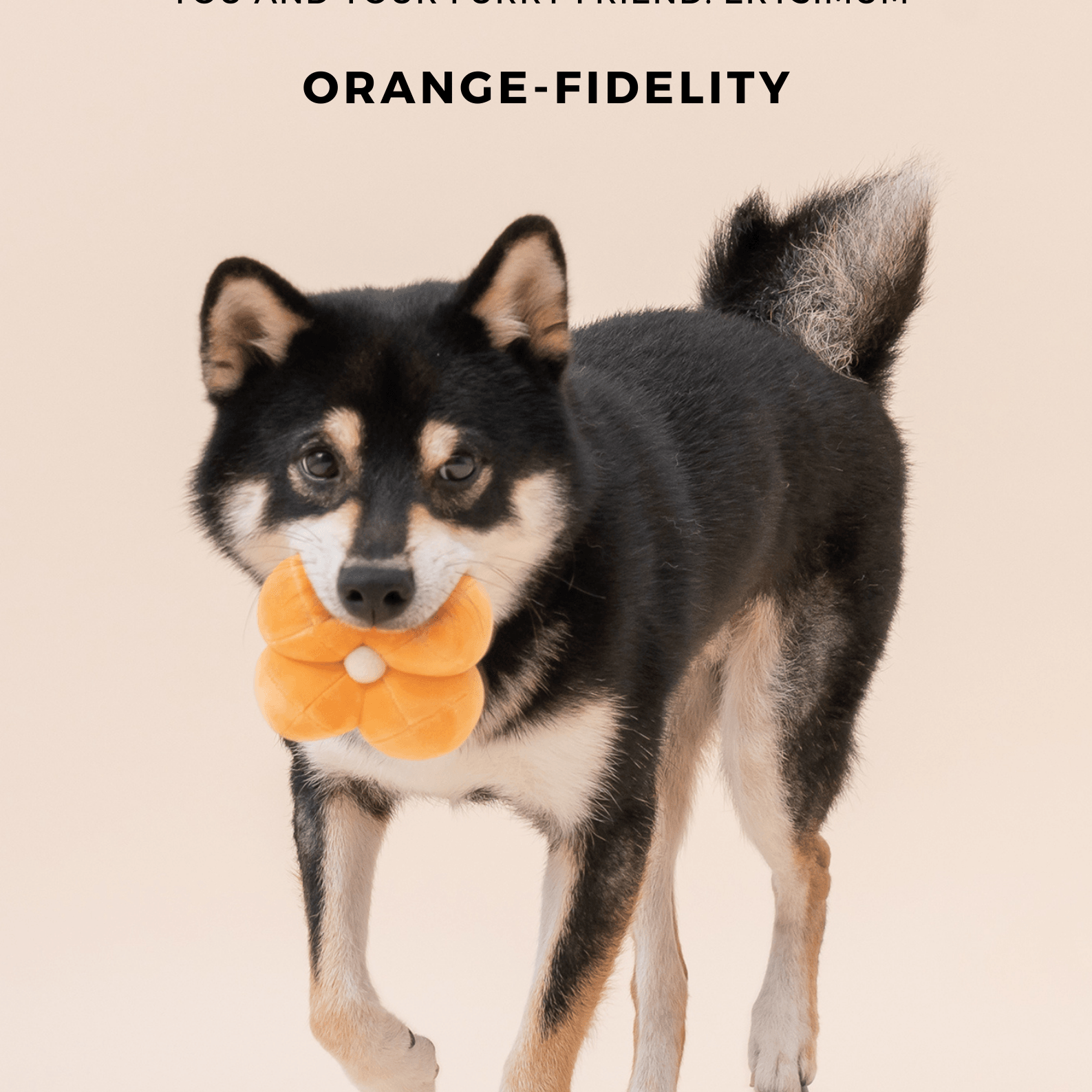 PEHOM PARADISE TOY: Cucurbita - Rocky & Maggie's Pet Boutique and Salon