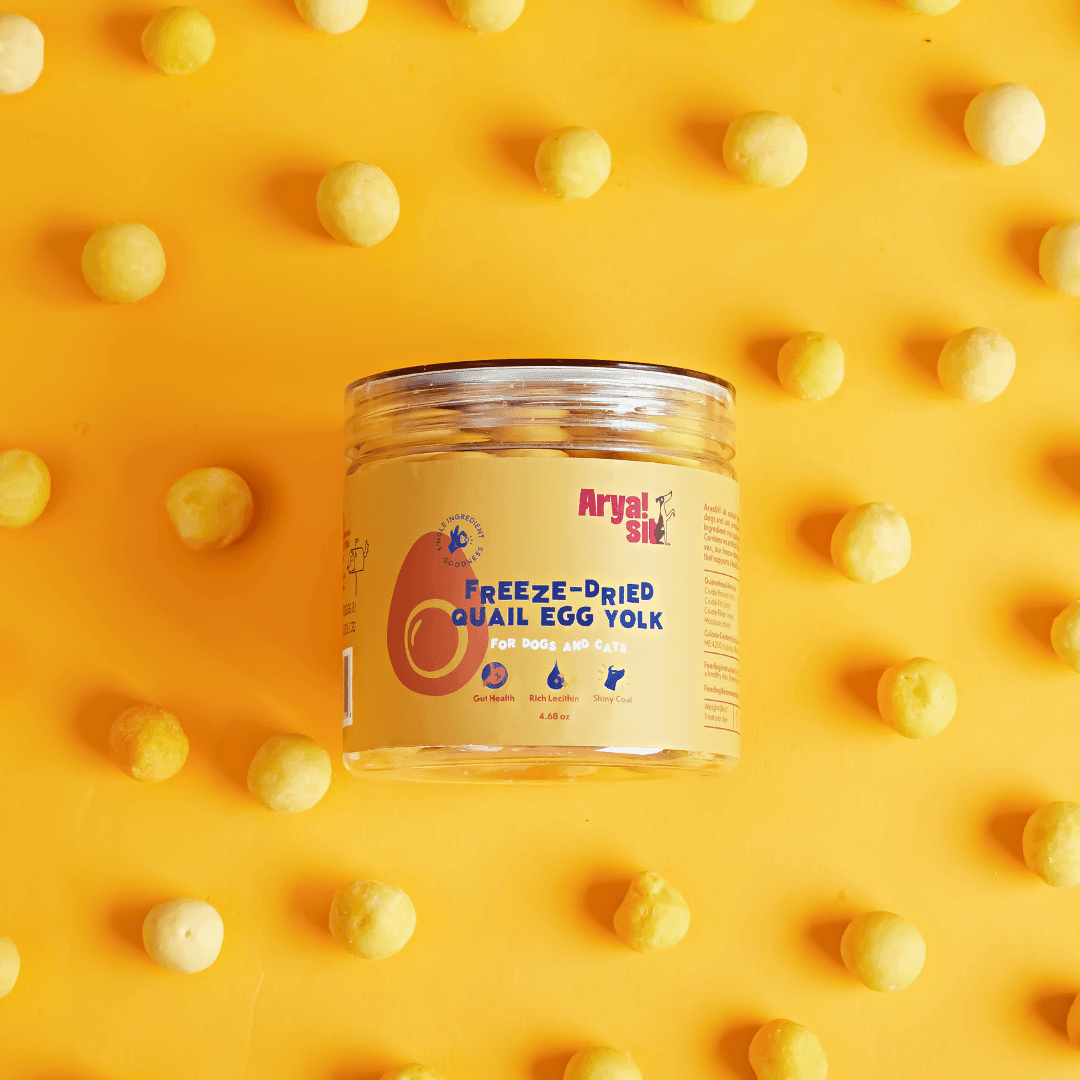 Freeze-Dried Egg Yolk Bites - Rocky & Maggie's Pet Boutique and Salon