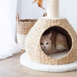 Walk Up Natural Aesthetic, Handwoven, Eco-Friendly, Sustainable Small Cat Tower - Rocky & Maggie's Pet Boutique and Salon