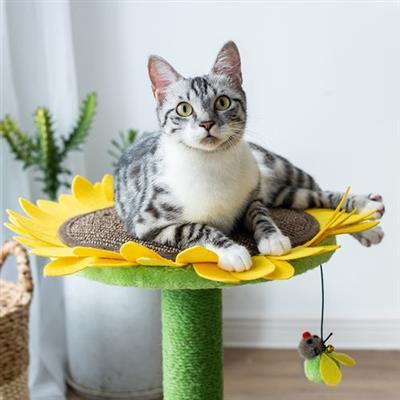 Cat Sunflower Tree Bed - Sisal Covered 2 in 1 Climbing Activity Tower - Rocky & Maggie's Pet Boutique and Salon