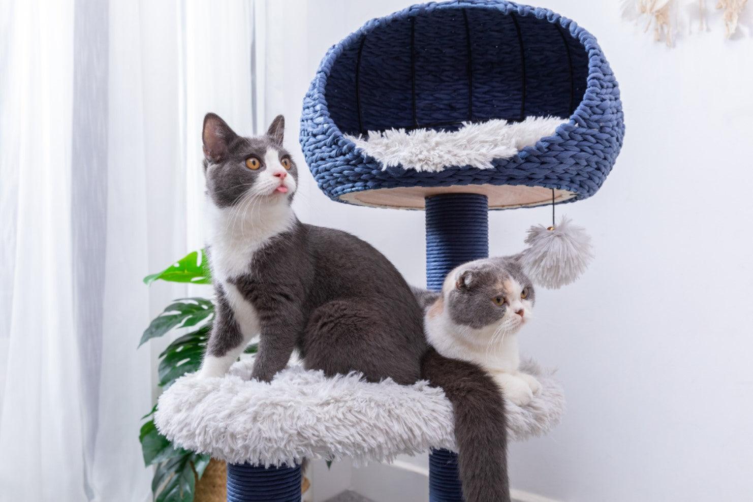 Blue Galaxy Natural Aesthetic, Handwoven, Eco-Friendly Medium Cat Tree - Rocky & Maggie's Pet Boutique and Salon