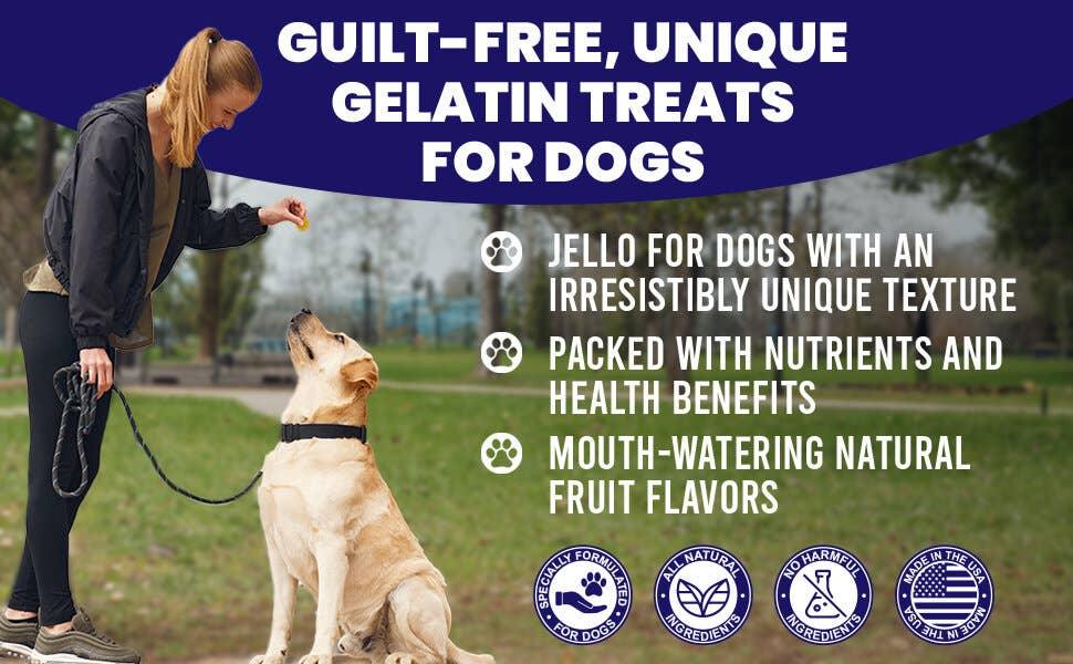 Dogtastic Jelly Shots - Cranberry Flavor - Rocky & Maggie's Pet Boutique and Salon