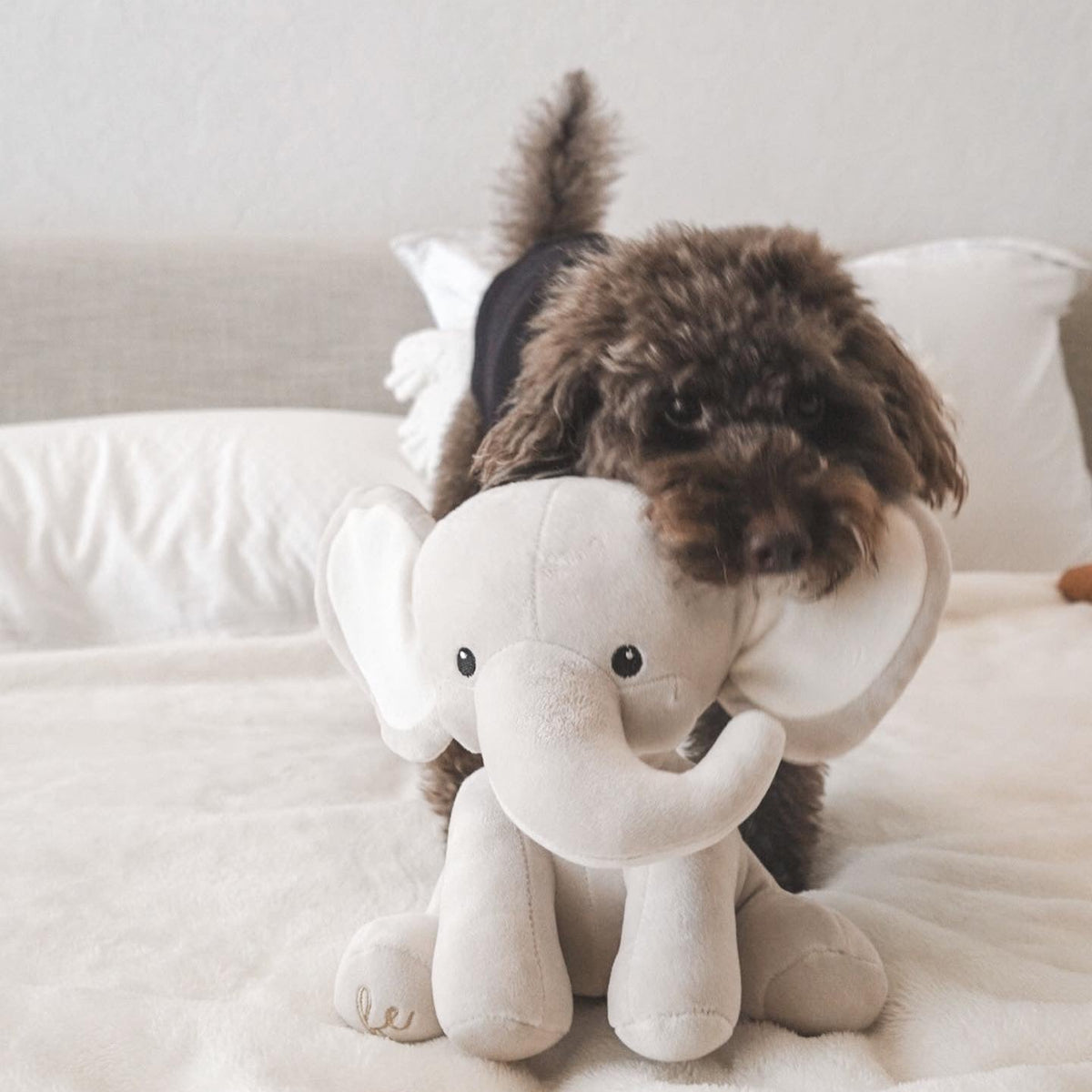 Elise Galleria Ella Plushie Dog Toy - view 11