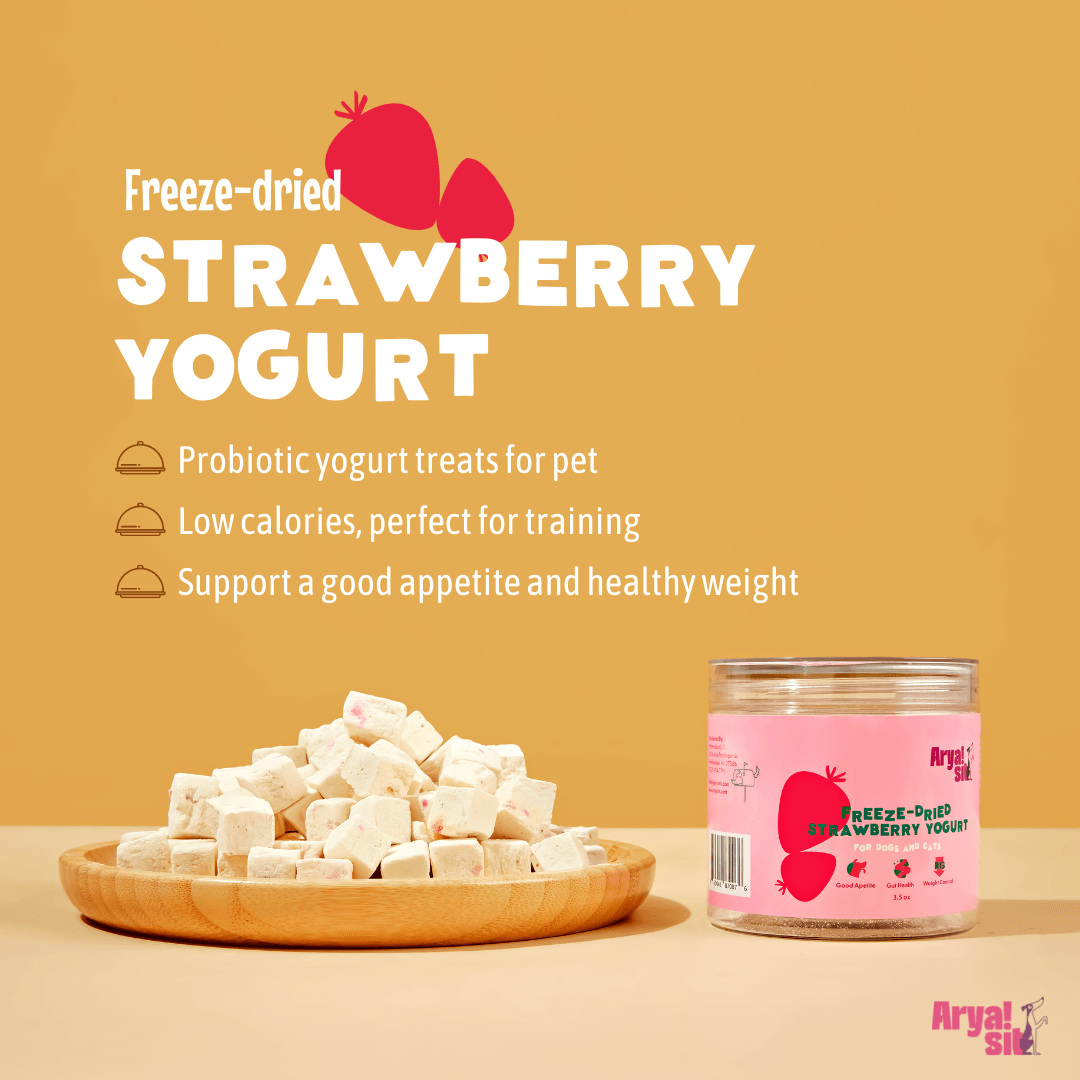 Arya Sit - Freeze-Dried Strawberry Yogurt - Rocky & Maggie's Pet Boutique and Salon