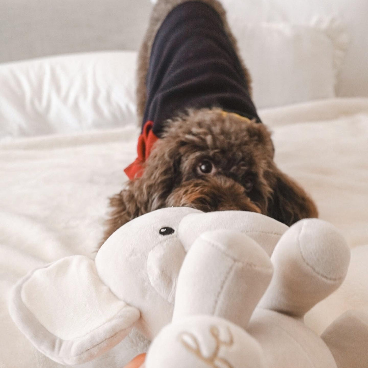 Elise Galleria Ella Plushie Dog Toy - view 10
