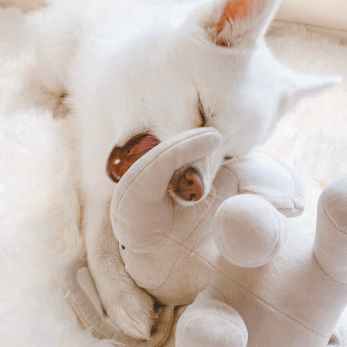 Elise Galleria Ella Plushie Dog Toy - view 12