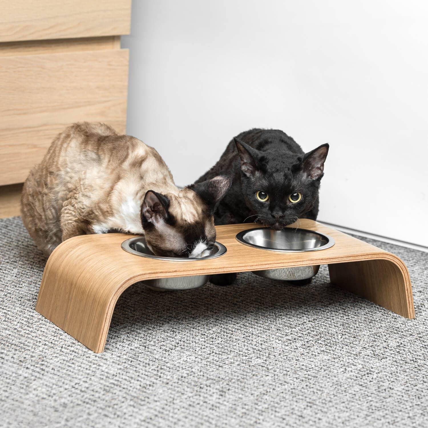 Wooden Elevated Stand for cats and dogs: Ash tree / 44x17x10 cm - Rocky & Maggie's Pet Boutique and Salon