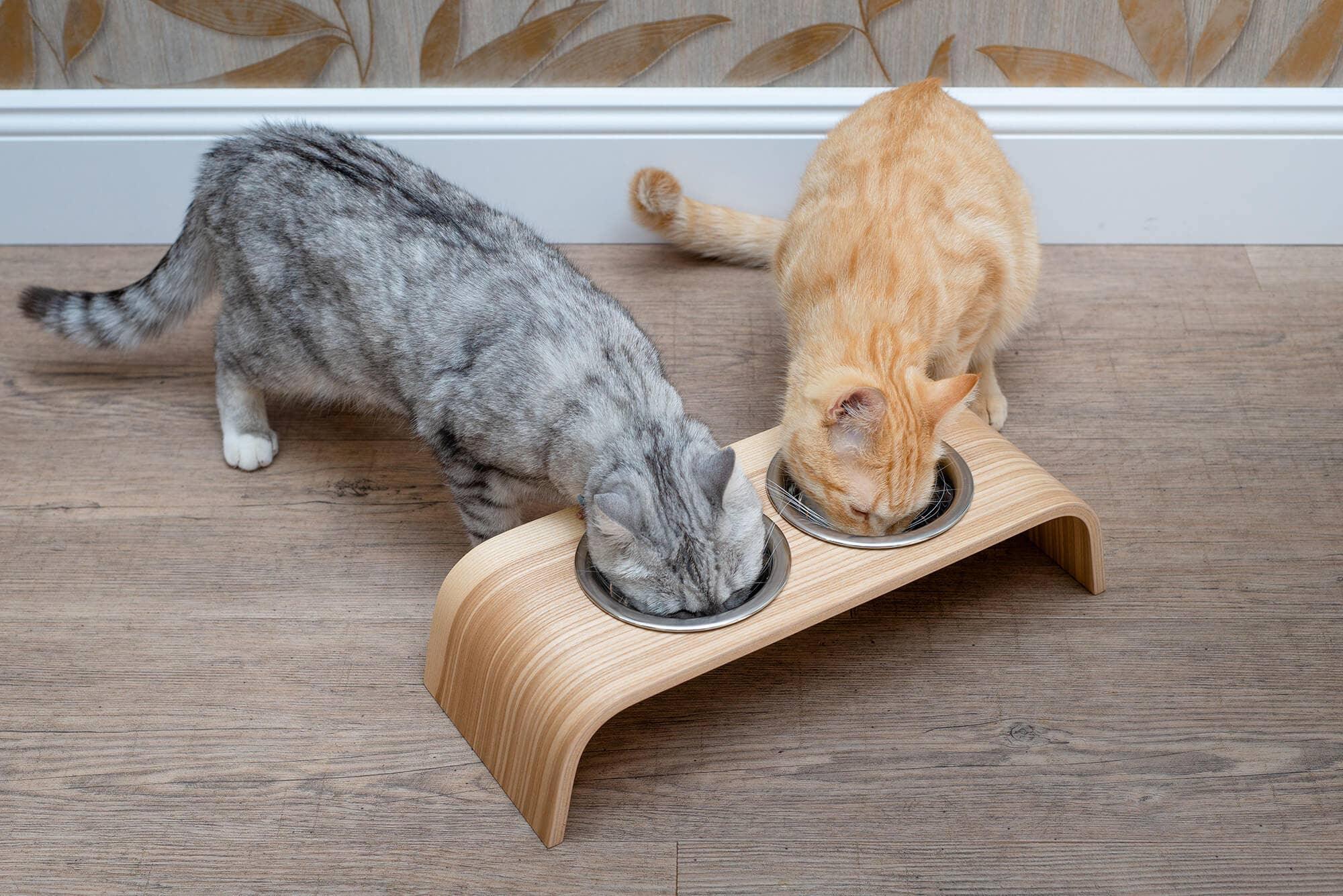 Wooden Elevated Stand for cats and dogs: Ash tree / 44x17x10 cm - Rocky & Maggie's Pet Boutique and Salon