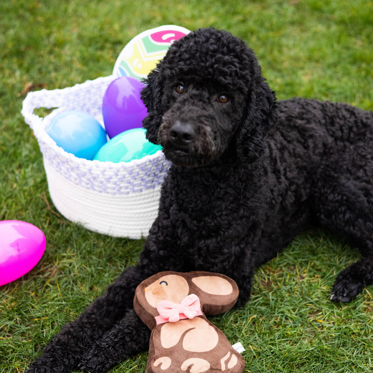 Pearhead Easter Chocolate Bunny Dog Toy - view 2