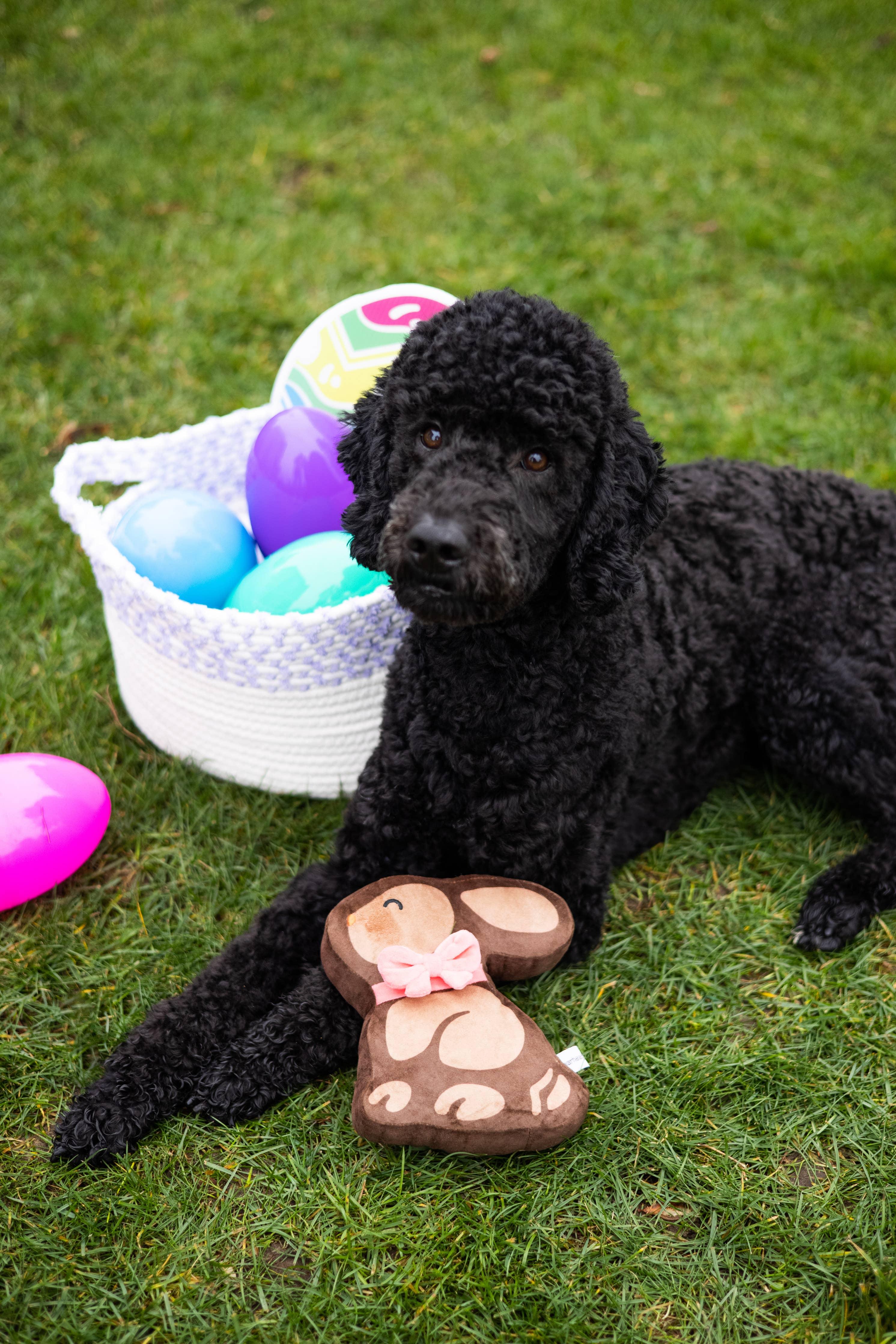 Easter Chocolate Bunny Dog Toy - Rocky & Maggie's Pet Boutique and Salon