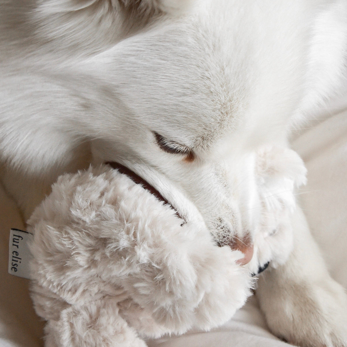Elise Galleria Koko Mini Plushie Dog Toy - view 5