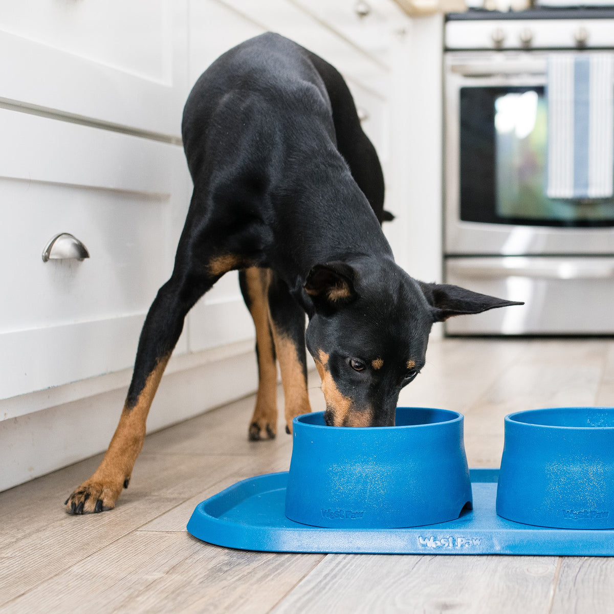 West Paw Non-Slip Feeding Placemat - view 3