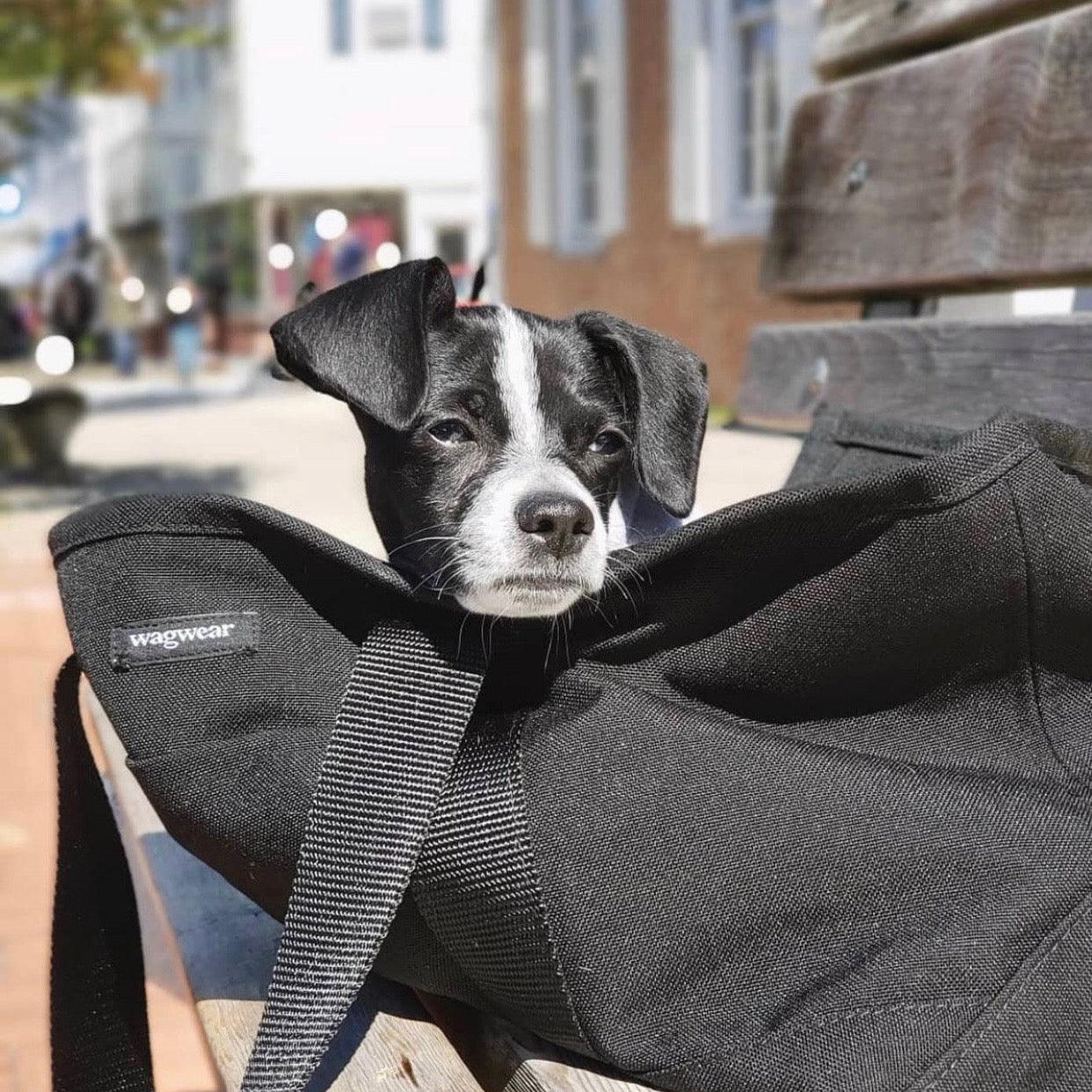 Cordura Zipper-Tote Carrier - Rocky & Maggie's Pet Boutique and Salon
