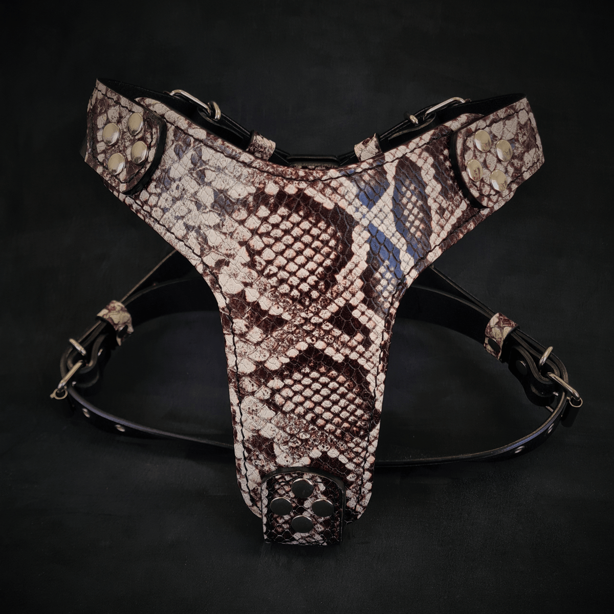 Bestia Dog Gear Rock Python Leather Harness in Black - Small to Medium