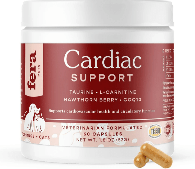 Cardiac Support for Dogs and Cats - Rocky & Maggie's Pet Boutique and Salon