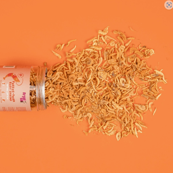 Freeze-Dried Baby Shrimp - Rocky & Maggie's Pet Boutique and Salon