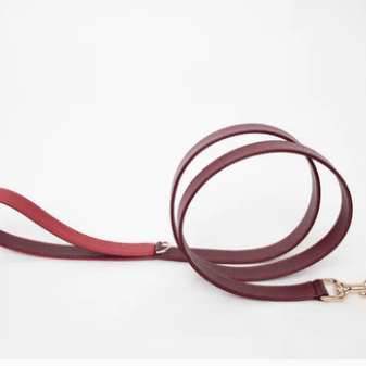 La Dorada Dog Leash - Rocky & Maggie's Pet Boutique and Salon