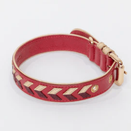 La Dorada Dog Collar - Rocky & Maggie's Pet Boutique and Salon