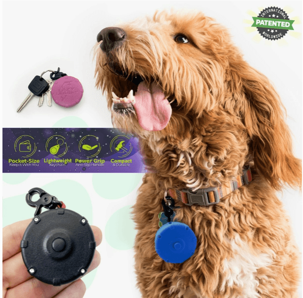 Lazy Leash! ⚡️ Mini Power Leash! - Rocky & Maggie's Pet Boutique and Salon
