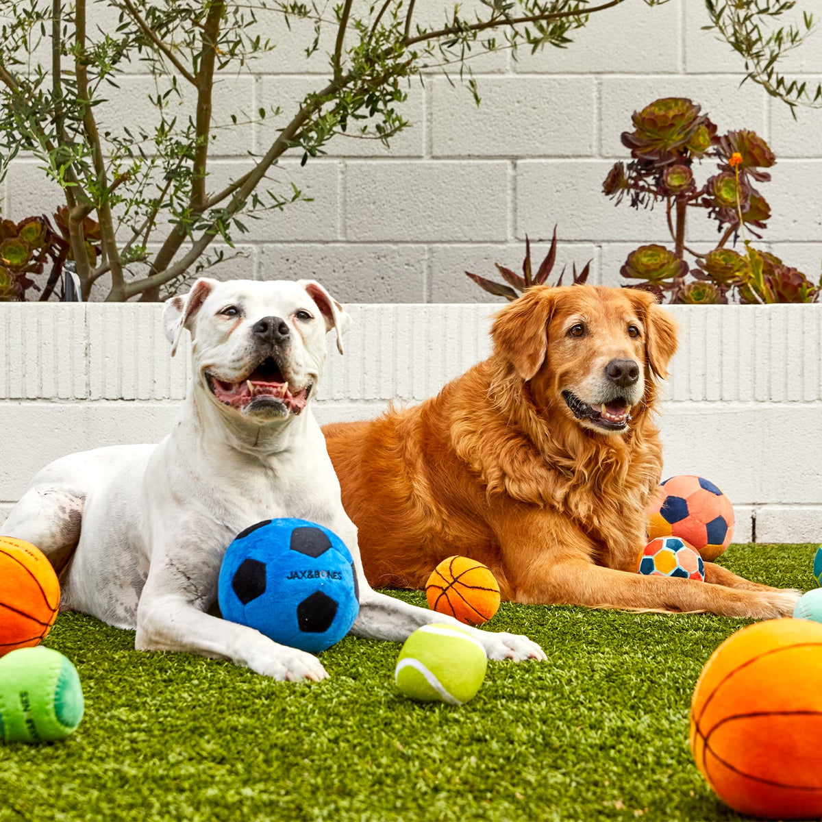 Jax & Bones Soccer Ball Plush Toy - view 6
