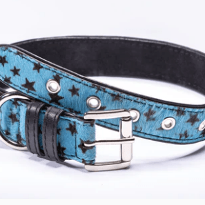 Strapets Signature collar - Black Stars - Rocky & Maggie's Pet Boutique and Salon