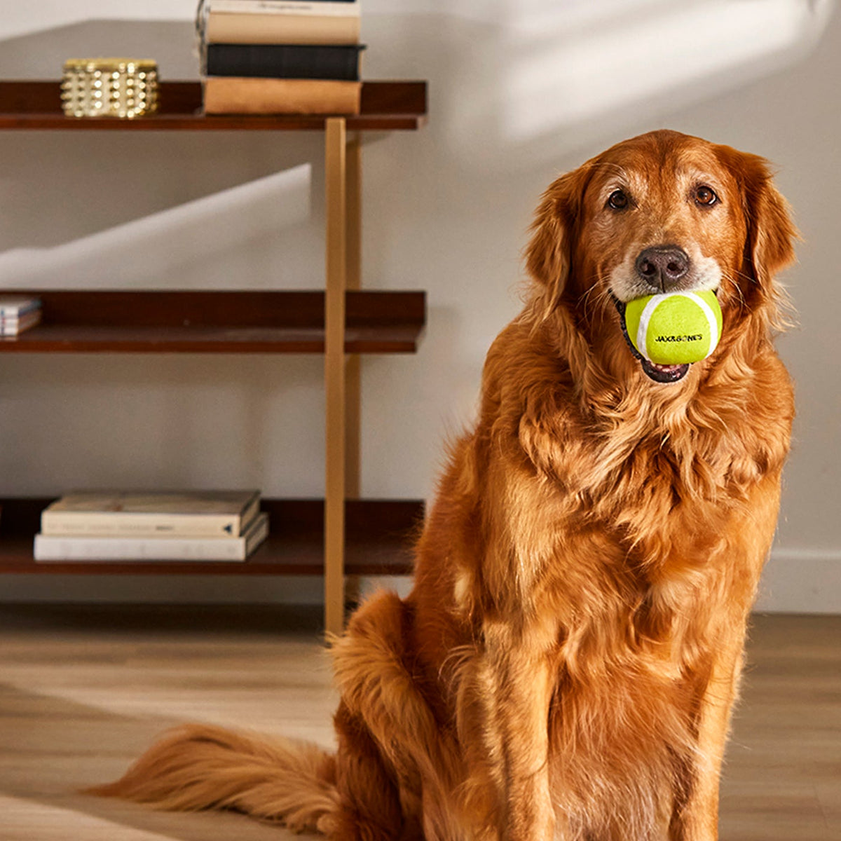 Jax & Bones 3-Inch Tennis Ball Plush Toy (3 Pack) - view 3