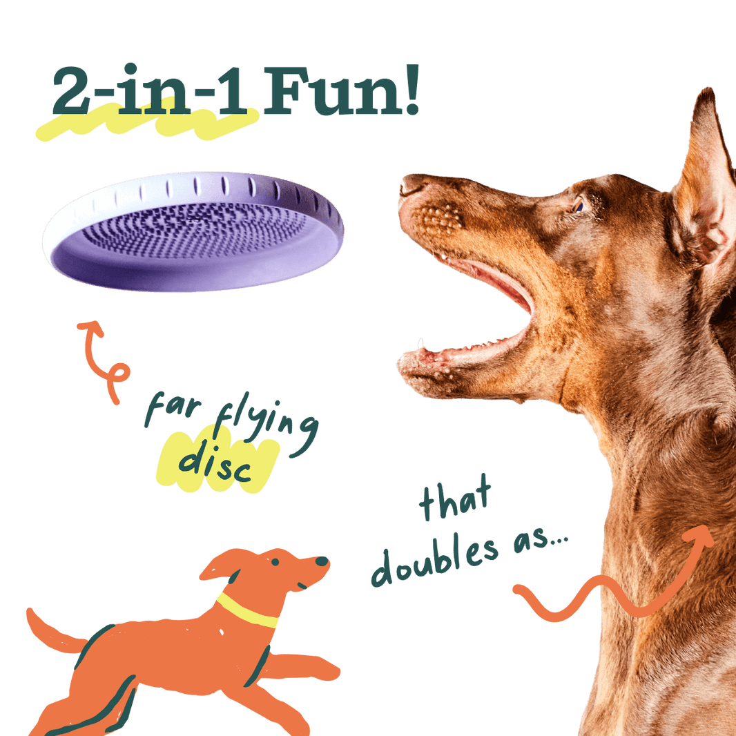 Woof Pet Fly N' Feed Flying Disc & Lick-Mat Dog Toy - view 3