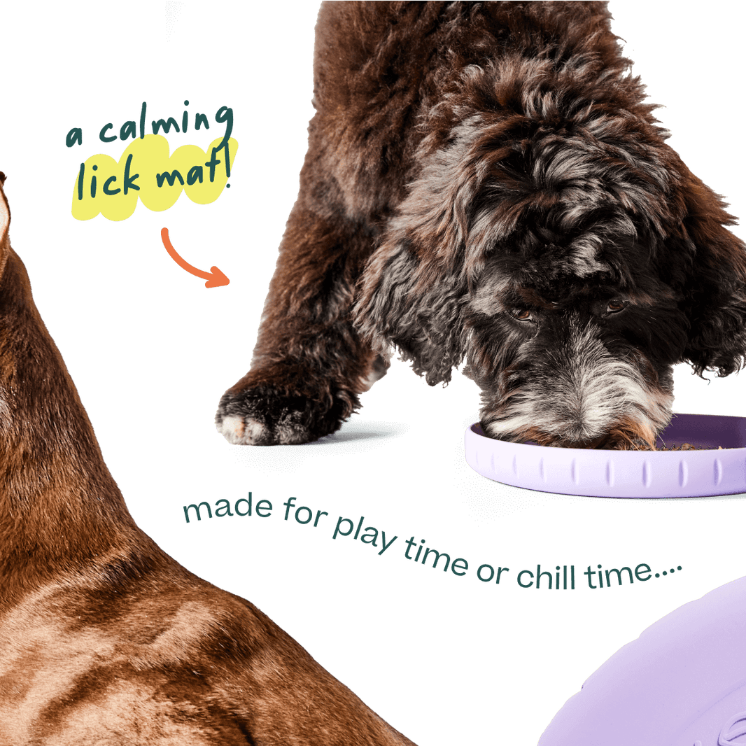 Woof Pet Fly N' Feed Flying Disc & Lick-Mat Dog Toy - view 2