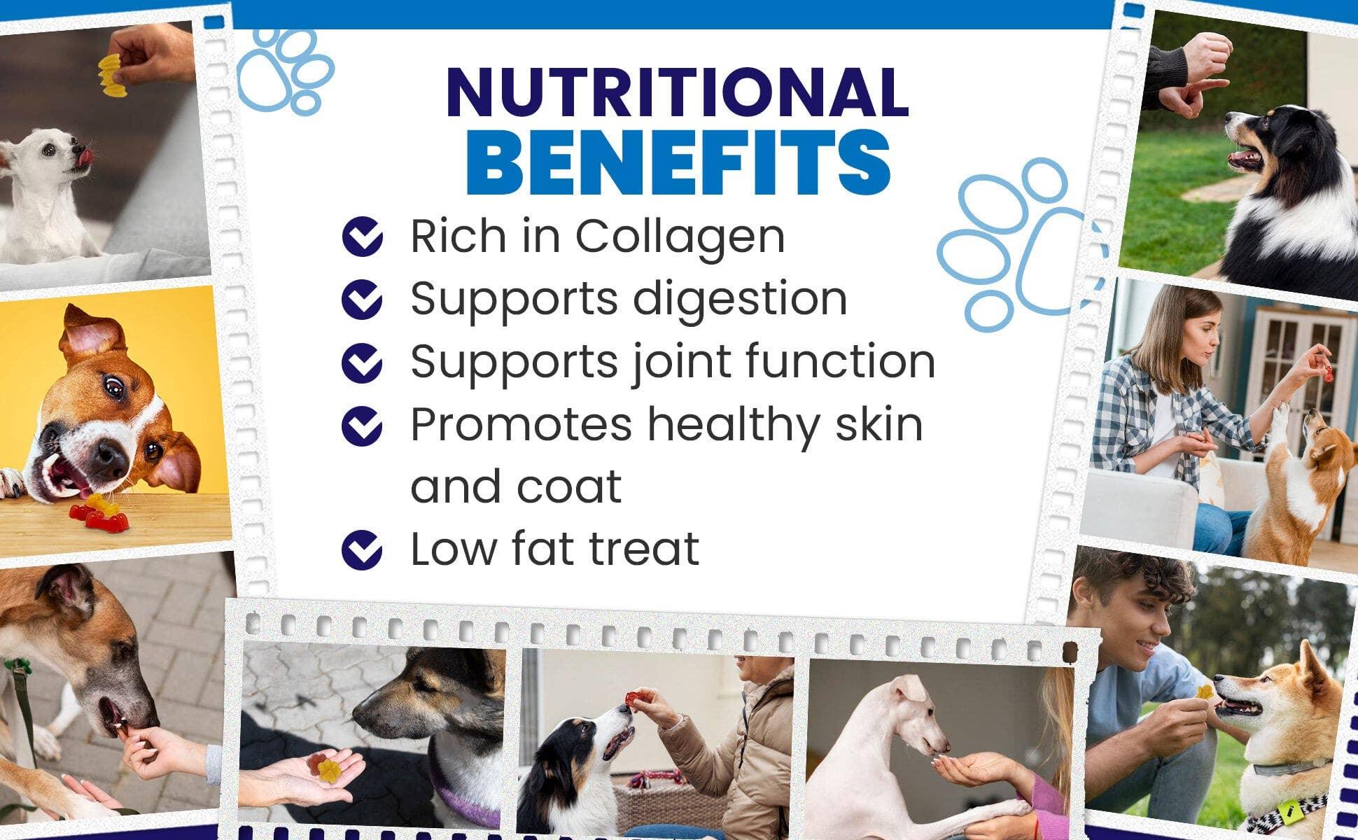 Dogtastic Jelly Shots - Cranberry Flavor - Rocky & Maggie's Pet Boutique and Salon