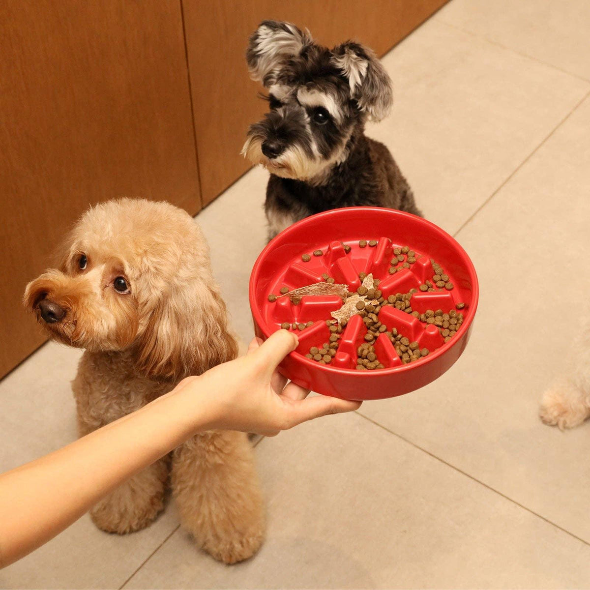 PEHOM Spark Slow Feeder Dog Bowl - view 7