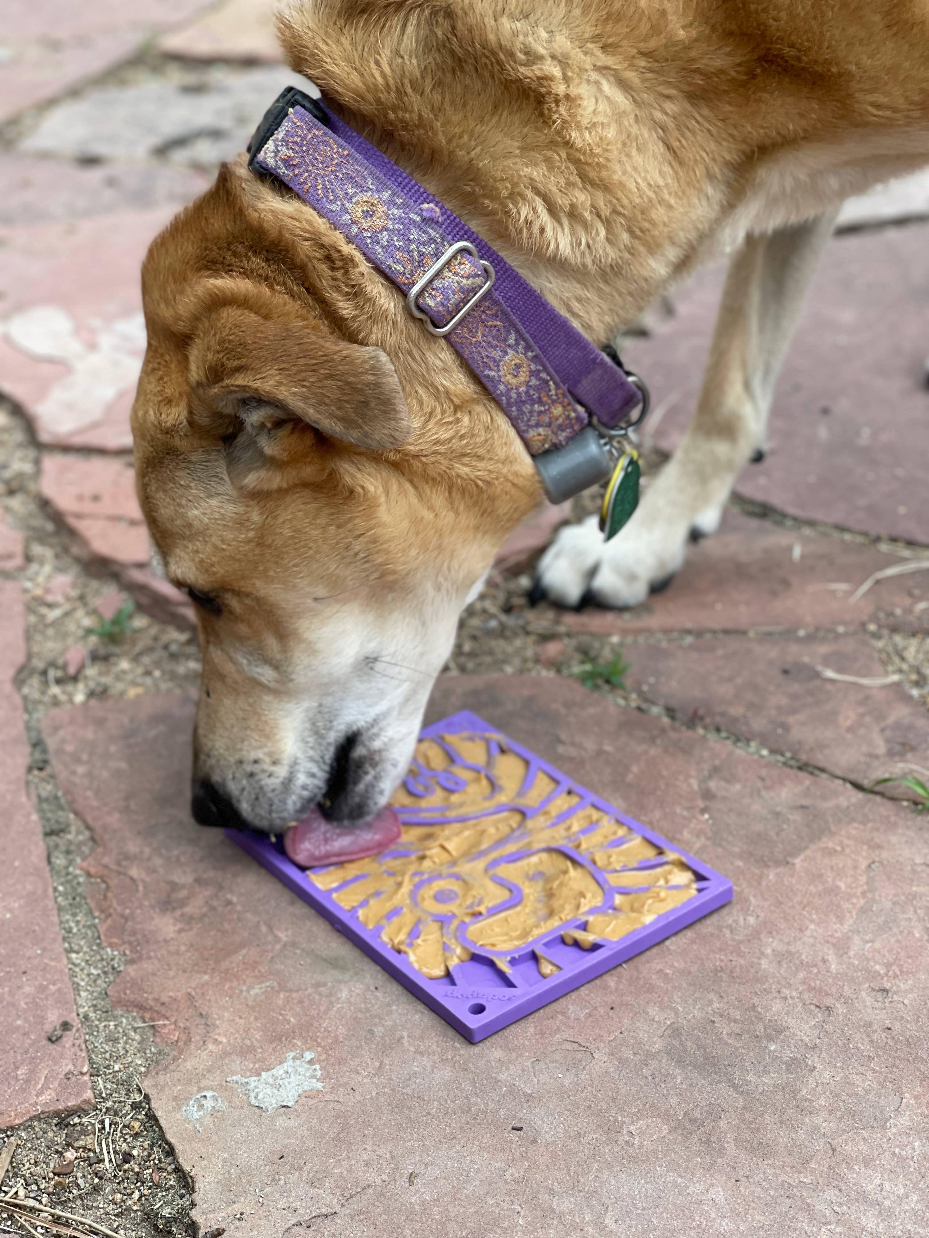 Groovy Love Design eMat Enrichment Lick Mat - Small Purple - Rocky & Maggie's Pet Boutique and Salon