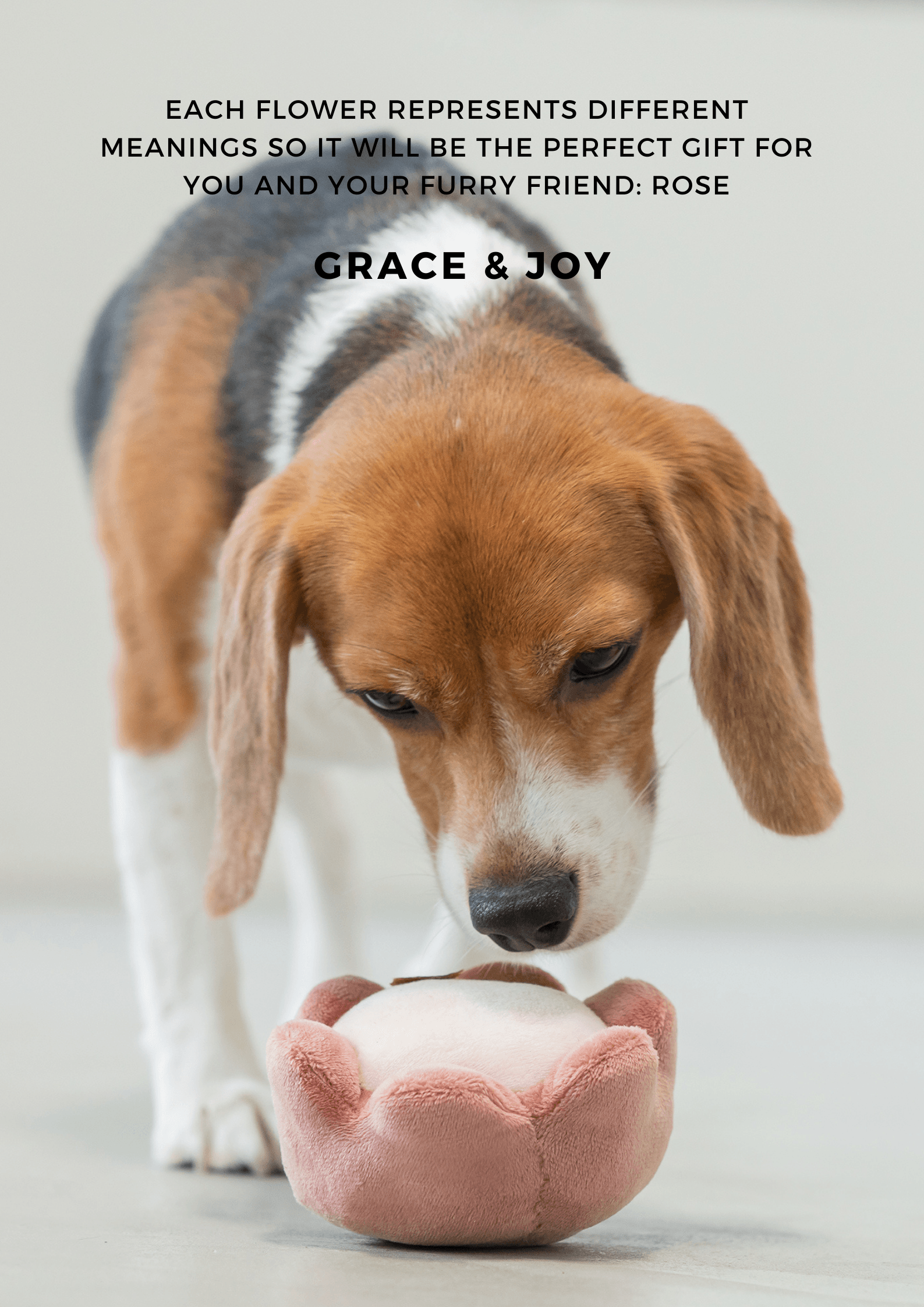 PEHOM PARADISE TOY: Cucurbita - Rocky & Maggie's Pet Boutique and Salon