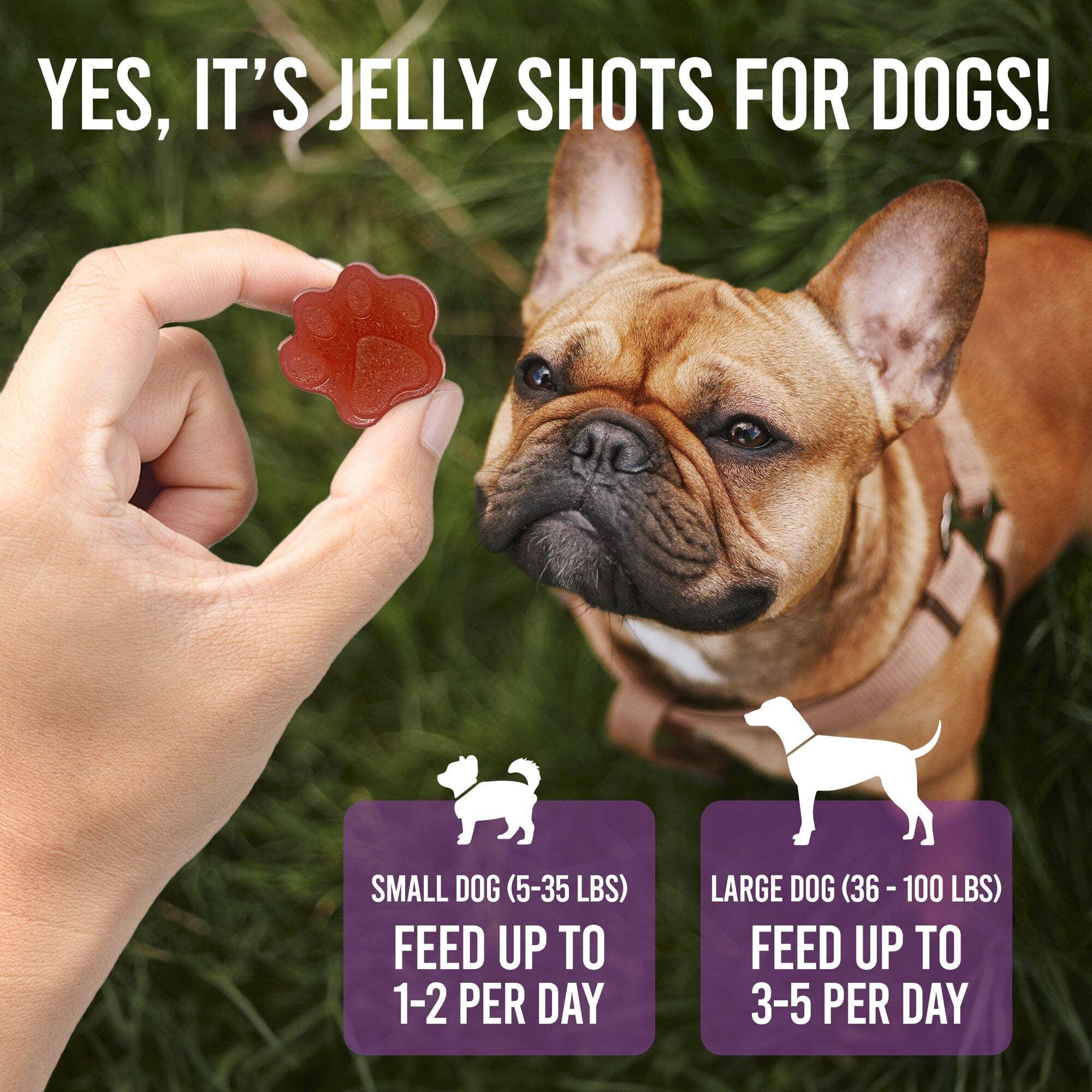 Dogtastic Jelly Shots - Cranberry Flavor - Rocky & Maggie's Pet Boutique and Salon
