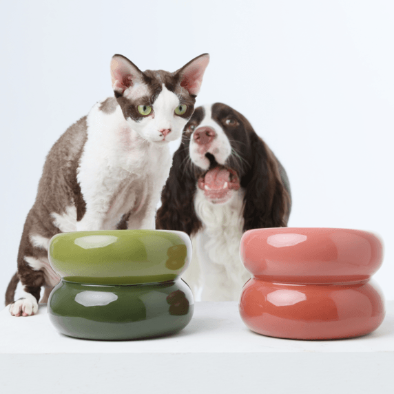 Soufflé Pet Bowl - Amber Orange - Rocky & Maggie's Pet Boutique and Salon