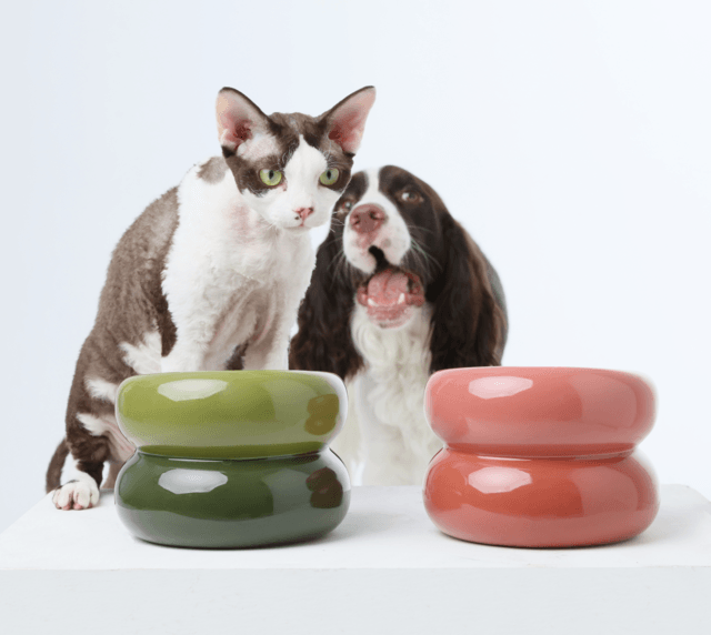 Soufflé Pet Bowl - Amber Orange - Rocky & Maggie's Pet Boutique and Salon
