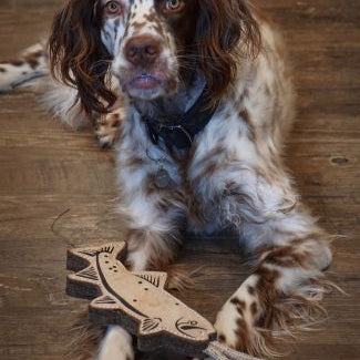 Tall Tails Natural Leather Trout Tug Toy - view 5