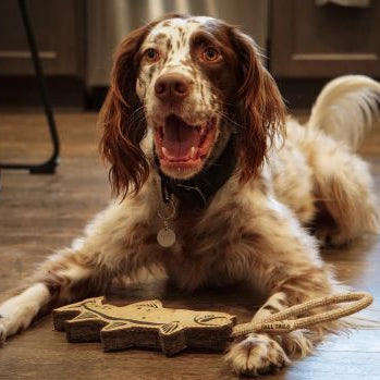 Tall Tails Natural Leather Trout Tug Toy - view 4