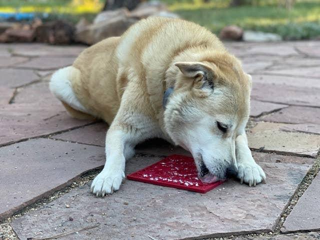 Heart Design Valentine Enrichment Lick Mat: Large - Rocky & Maggie's Pet Boutique and Salon
