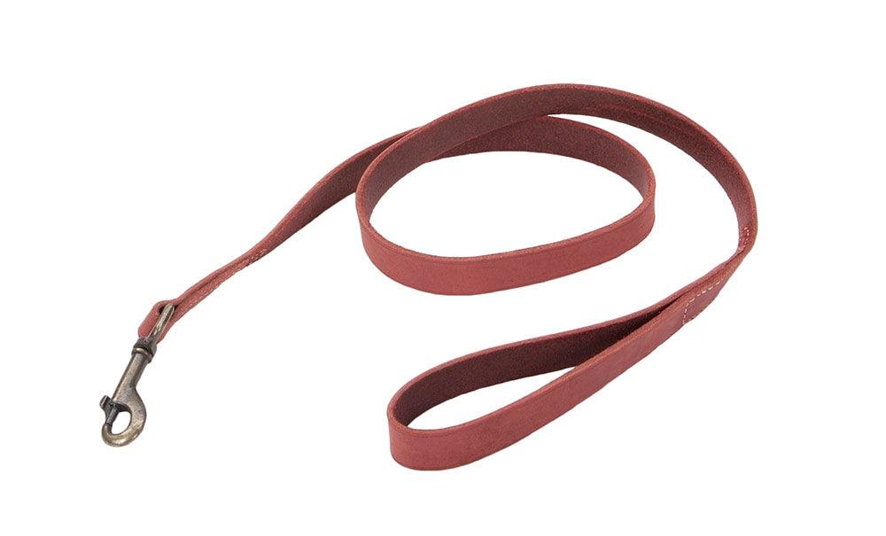 Circle T® Rustic Leather Dog Leash - Rocky & Maggie's Pet Boutique and Salon