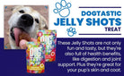 Dogtastic Jelly Shots Silicone Mold - Bone Shape - Rocky & Maggie's Pet Boutique and Salon