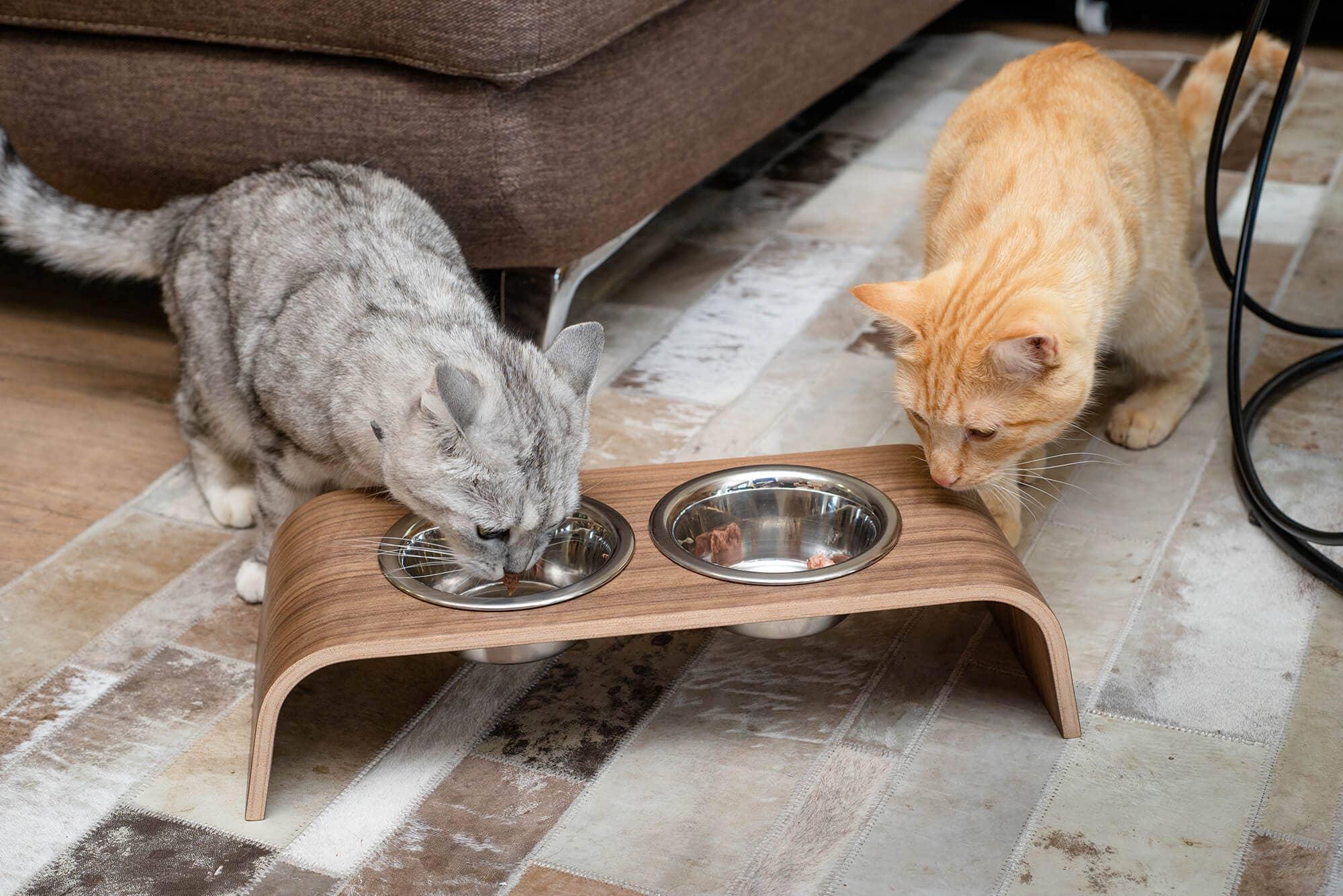 Wooden Elevated Stand for cats and dogs: Ash tree / 44x17x10 cm - Rocky & Maggie's Pet Boutique and Salon