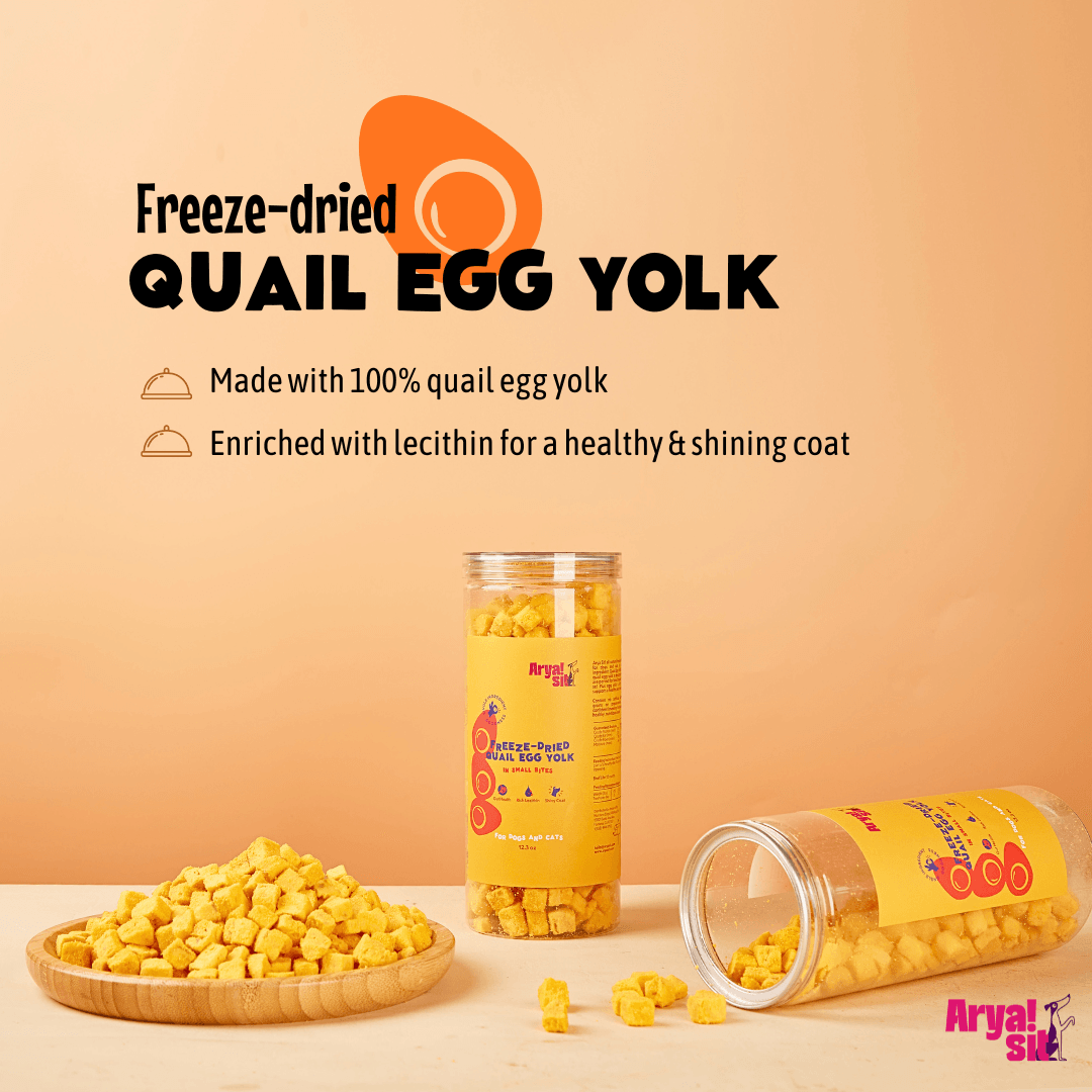 Freeze-Dried Egg Yolk Bites - Rocky & Maggie's Pet Boutique and Salon