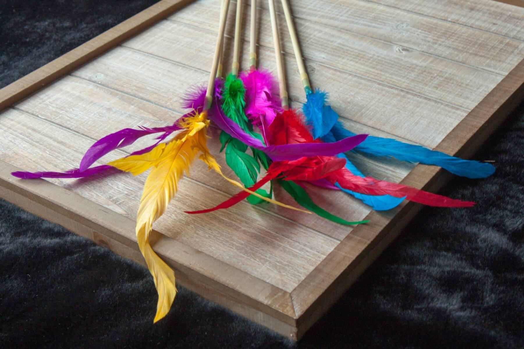 Feather Kitty Teaser - Rocky & Maggie's Pet Boutique and Salon