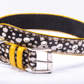 Strapets Signature collar - Spots - Rocky & Maggie's Pet Boutique and Salon