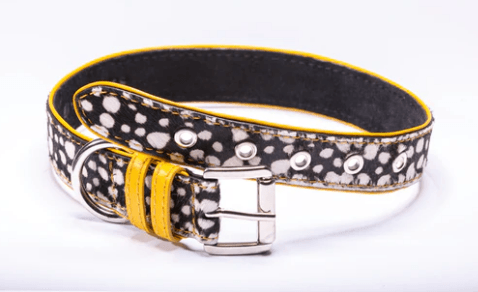Strapets Signature collar - Spots - Rocky & Maggie's Pet Boutique and Salon