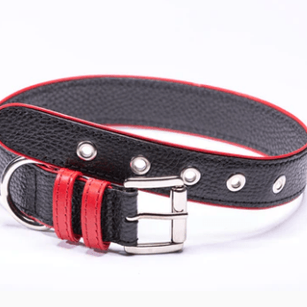 Strapets Signature collar - Black Leather - Rocky & Maggie's Pet Boutique and Salon