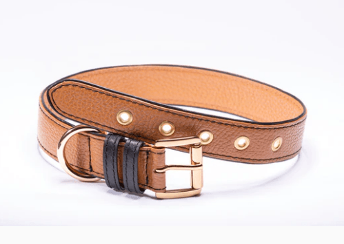 Strapets Signature dog collar - Brown Leather - Rocky & Maggie's Pet Boutique and Salon
