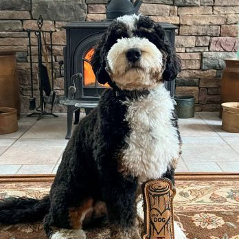 Tall Tails Natural Leather 'Love My Dog' Log Toy