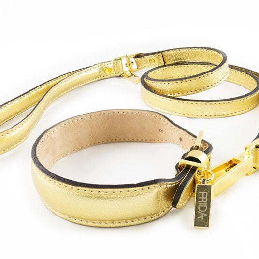 Gold antique leather collar with black trim and Frida Firenze tag, with matching leash.