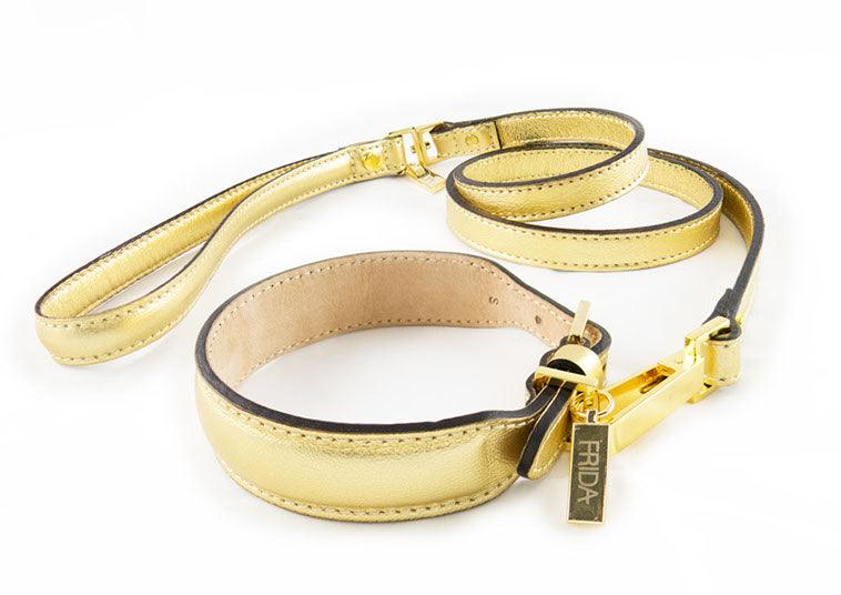 Frida Firenze - Plain Collar - Rocky & Maggie's Pet Boutique and Salon